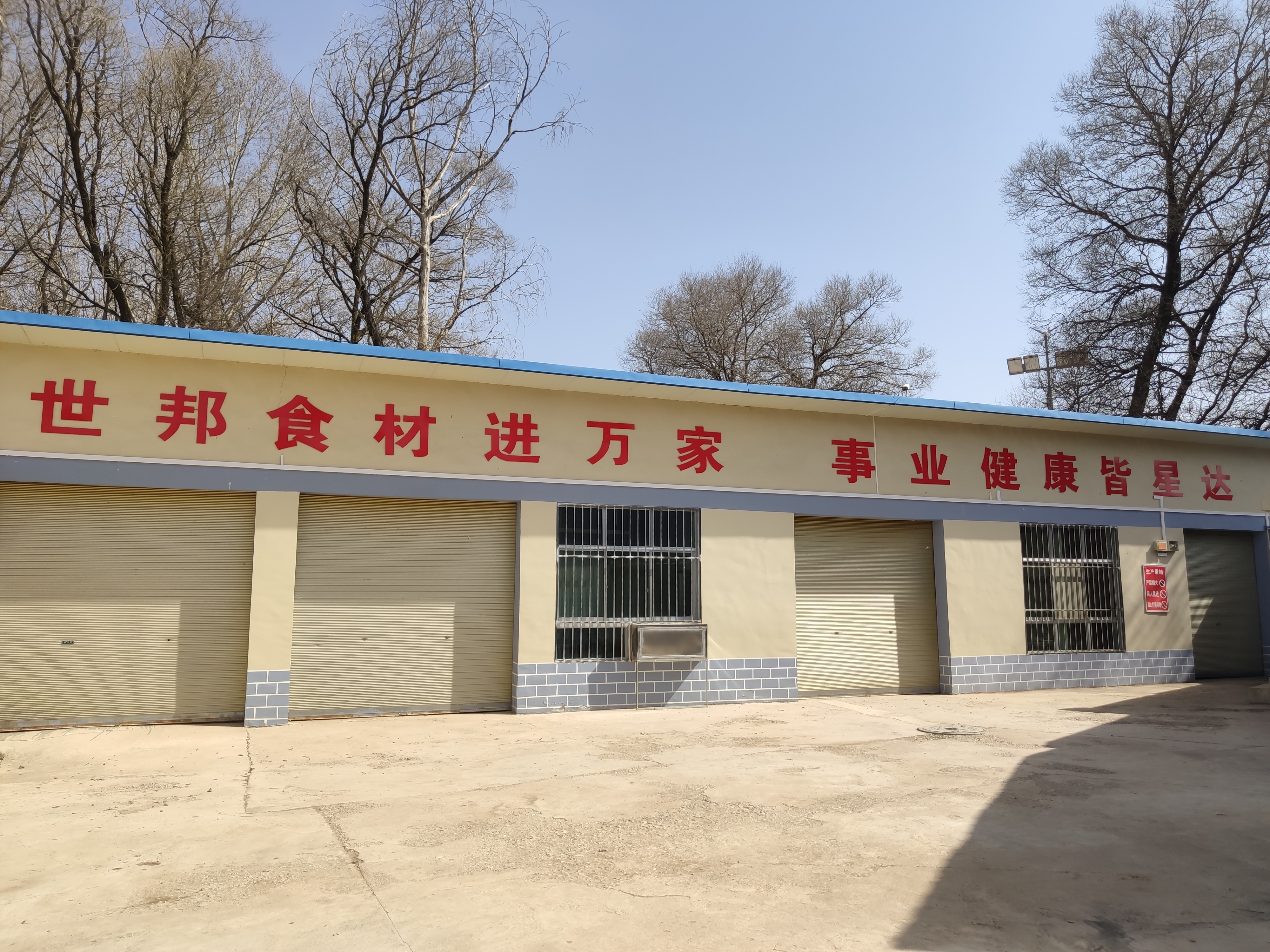 Gansu Shibanxingda Biotechnology Co., Ltd. – Buckwheat tea 1