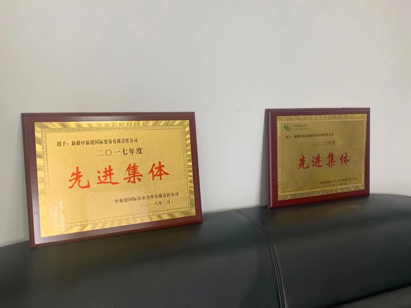 Xinjiang Zhongxin Jian International Trade Co., Ltd. – almonds 2