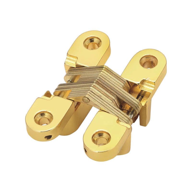 Concealed hinge