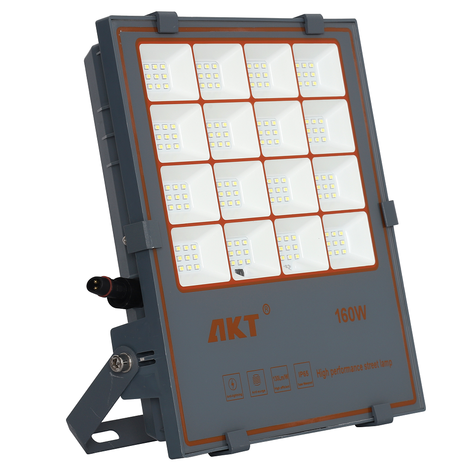 160W LED Solar Floodlight