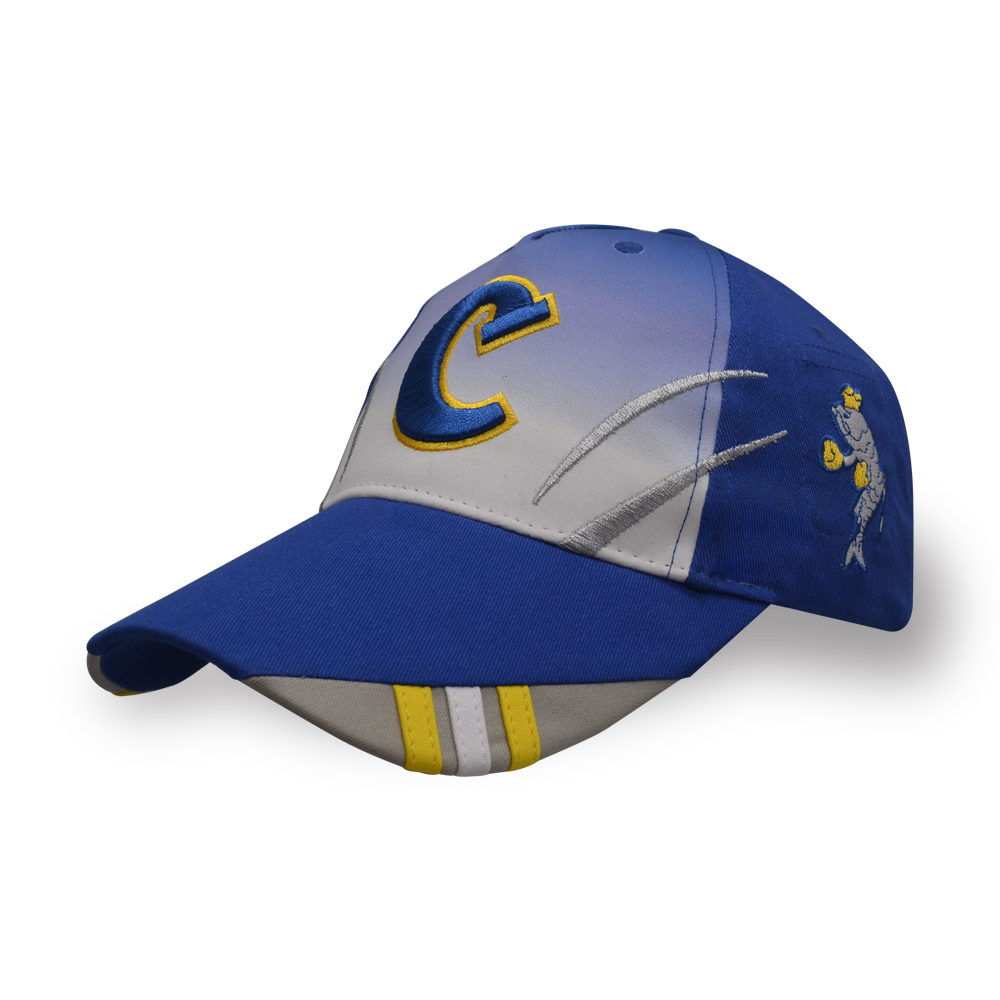 5 panel 3D embroidery sublimation connected embroidery baseball cap