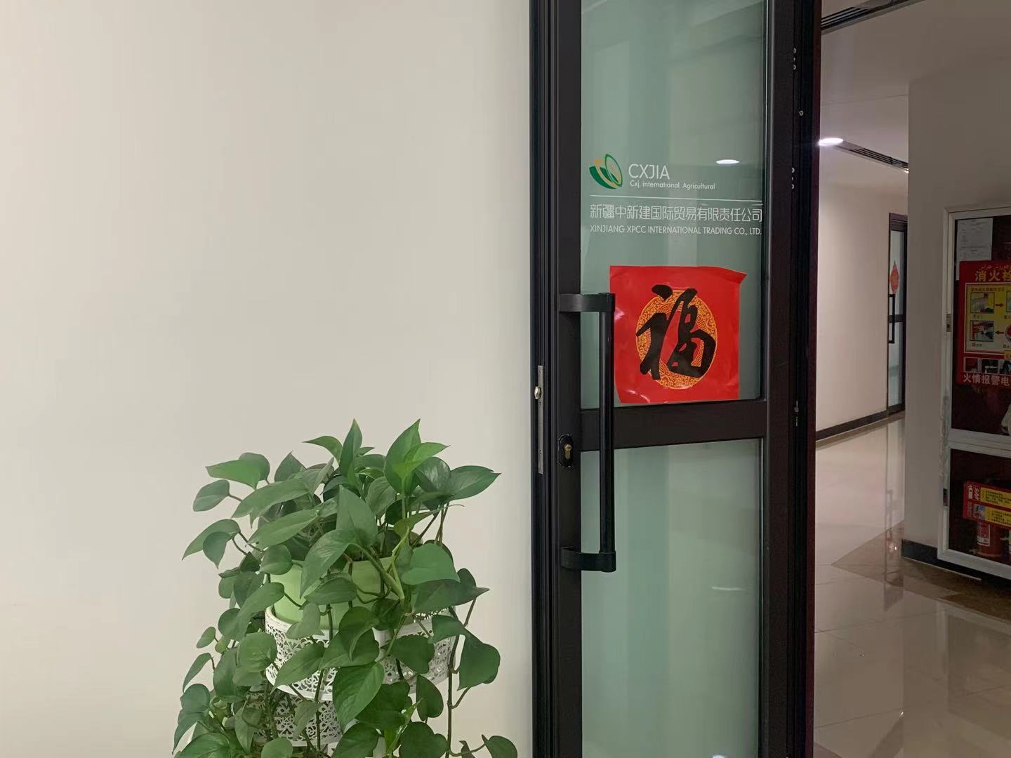 Xinjiang Zhongxin Jian International Trade Co., Ltd. – nuts 3