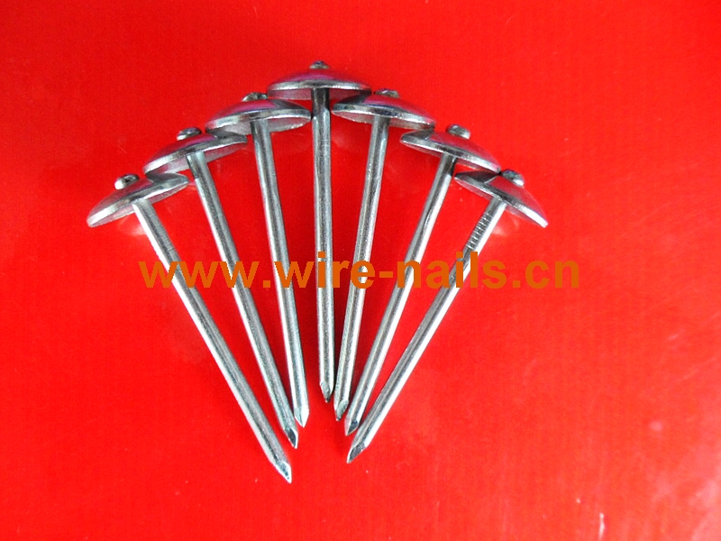 BWG9 X2.5" roofing nails