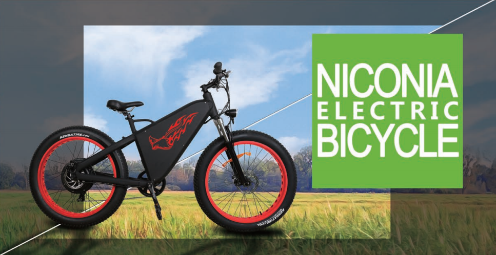 Jiangsu Niconia Electric Vehicle Manufacturing Co., Ltd. – Electric motorcycle 1