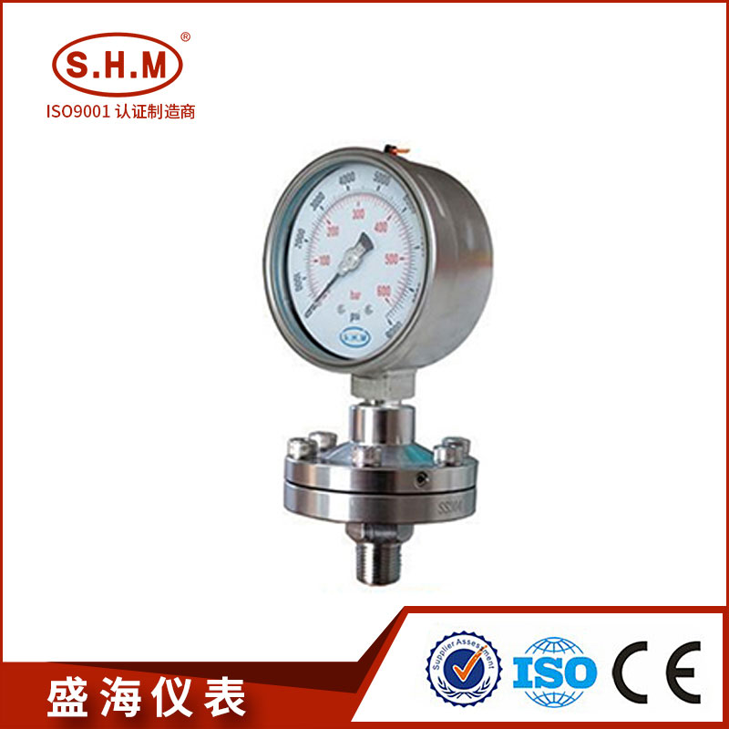 Diaphragm Pressure Gauge