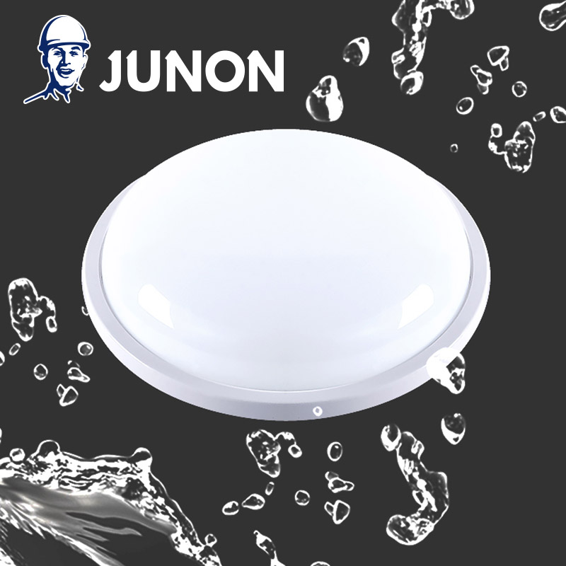 Waterproof LED Ceiling Light
