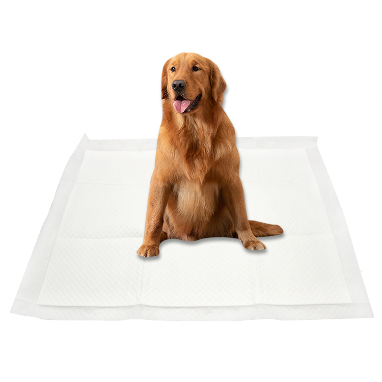 white Puppy pad
