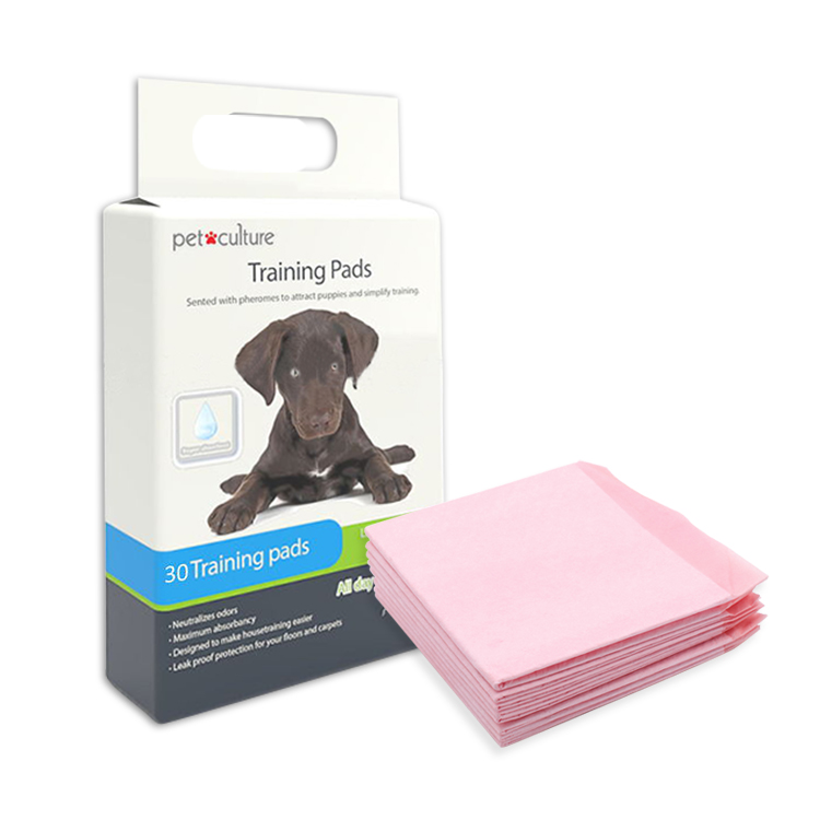 Disposable Puppy Training Pad 60x60cm