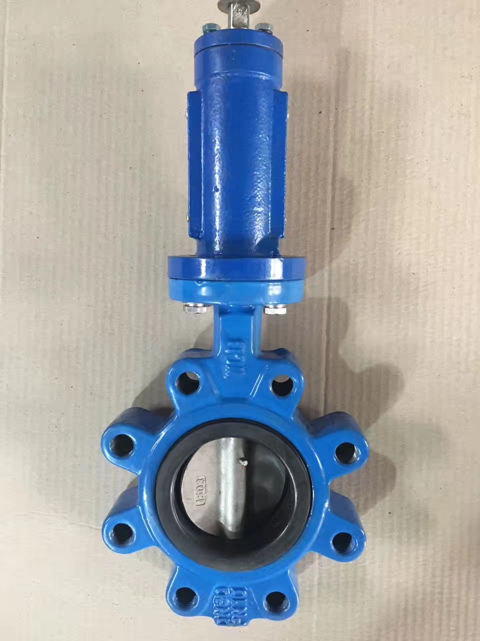 China Jiangxi International Economic and Technical Cooperation Co., Ltd. – butterfly valve 3