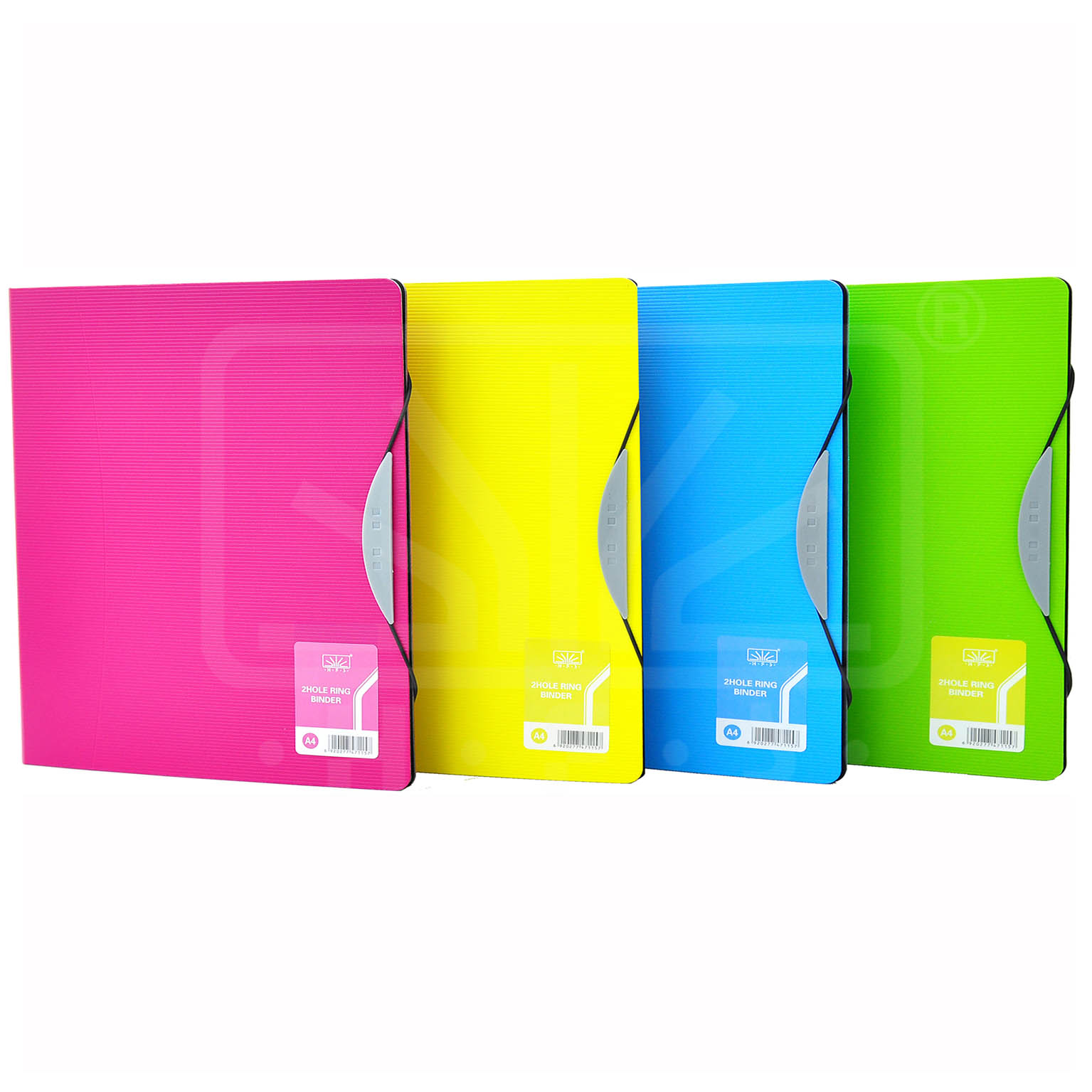 Ring Binder (Foam Pp Folder)