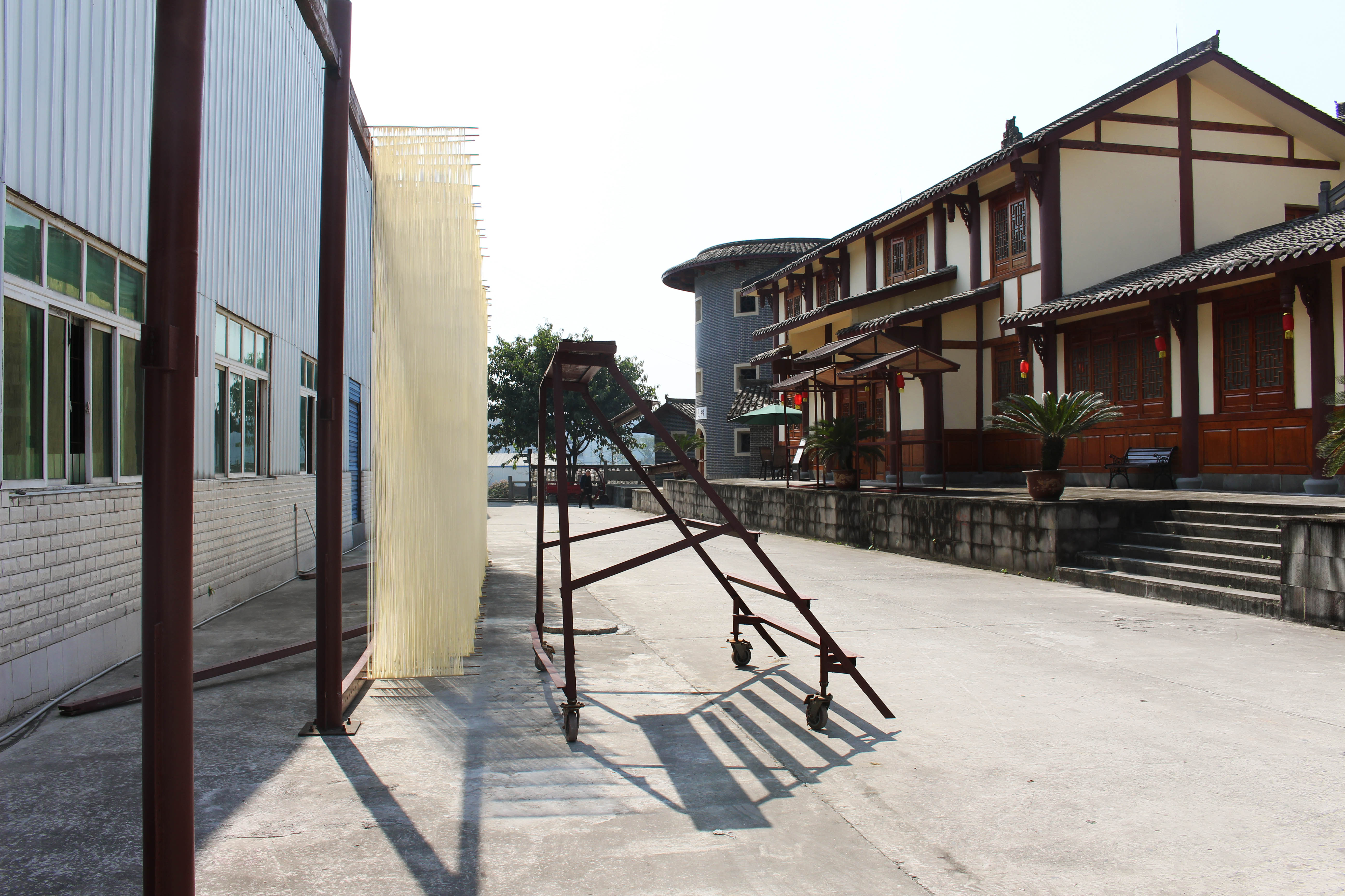 Yilong Jinyuan Noodle Industry Co., Ltd. – flour 3