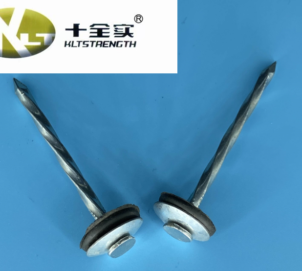 Roofing Nail Umbrella Head with Rubber Washer