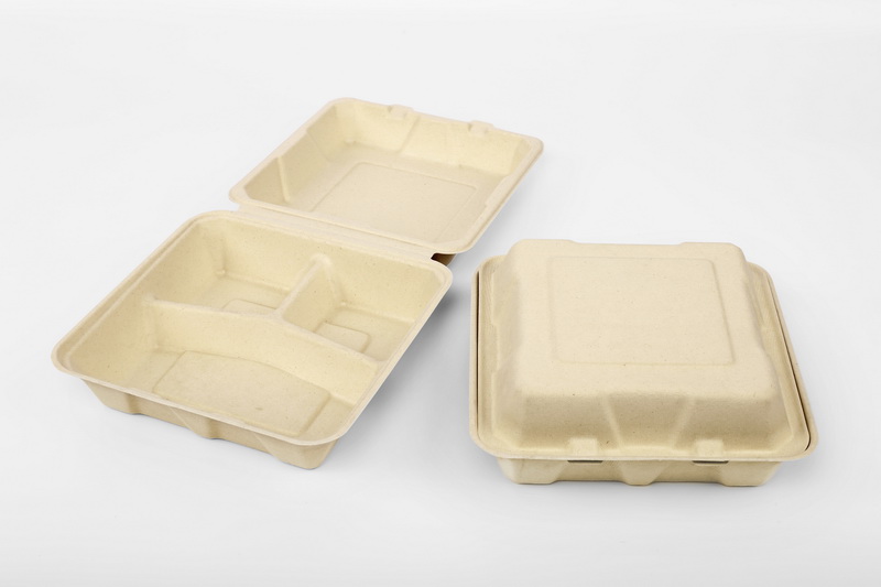 Sugarcane Lunch Box