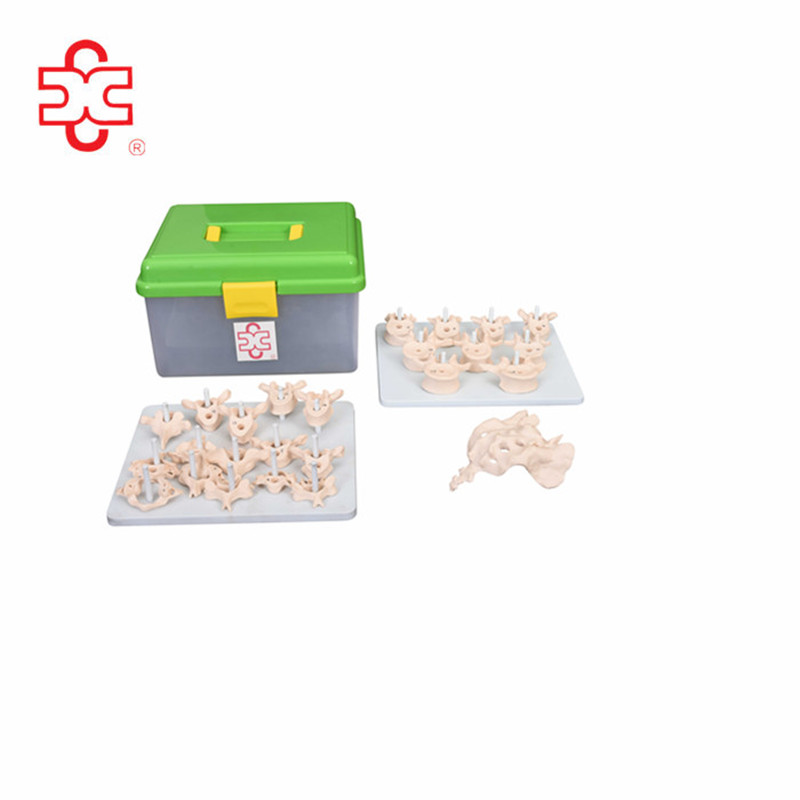 XINCHENG SCIENTIFIC INDUSTRIES CO., LTD. – bicicleta de montaña 3