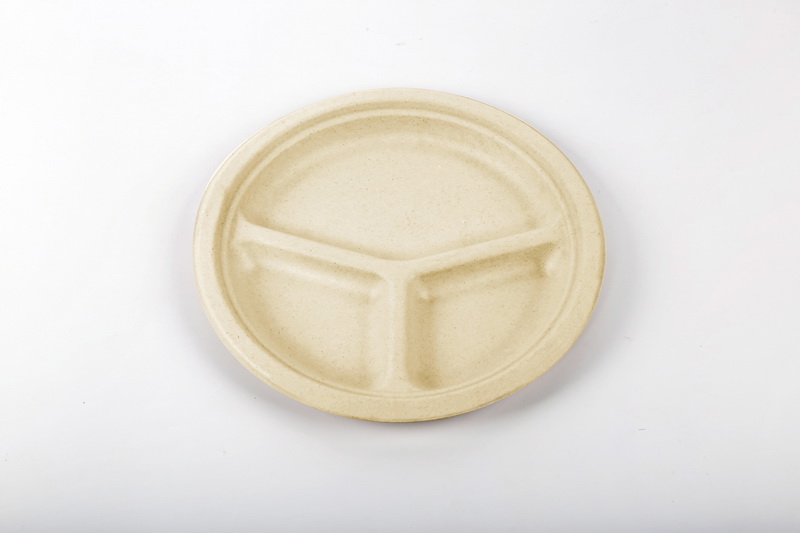 Sugarcane Plate