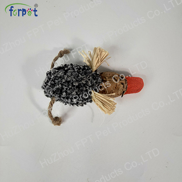 cat toy
