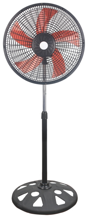 Stand Fan