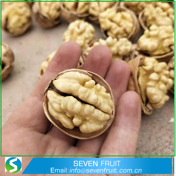 Hebei Seven Fruit Trade Co.,Ltd – raqueta de tenis 2