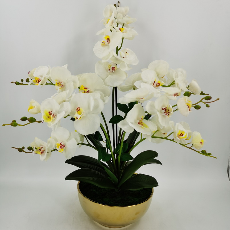 72cmH Artificial phalaenopsis orchid in gold ceramic pot