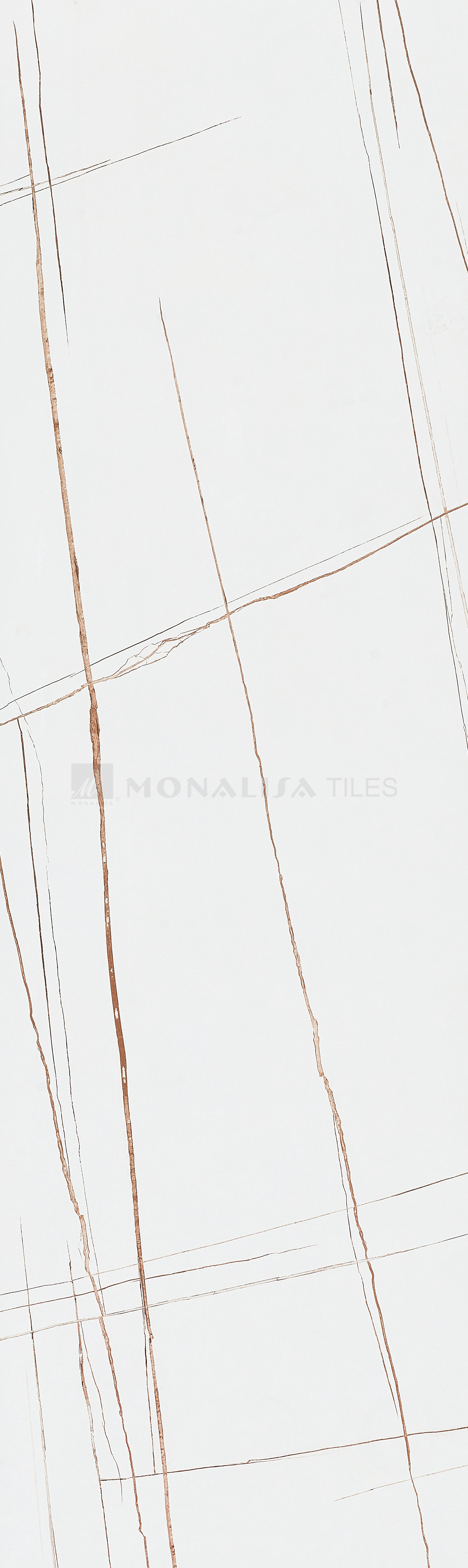 # Sintered Stone/Porcelain Slab/Porcelain Tile/Countertop/Marble Tile/Glazed Tile 76-255DBL13010M
