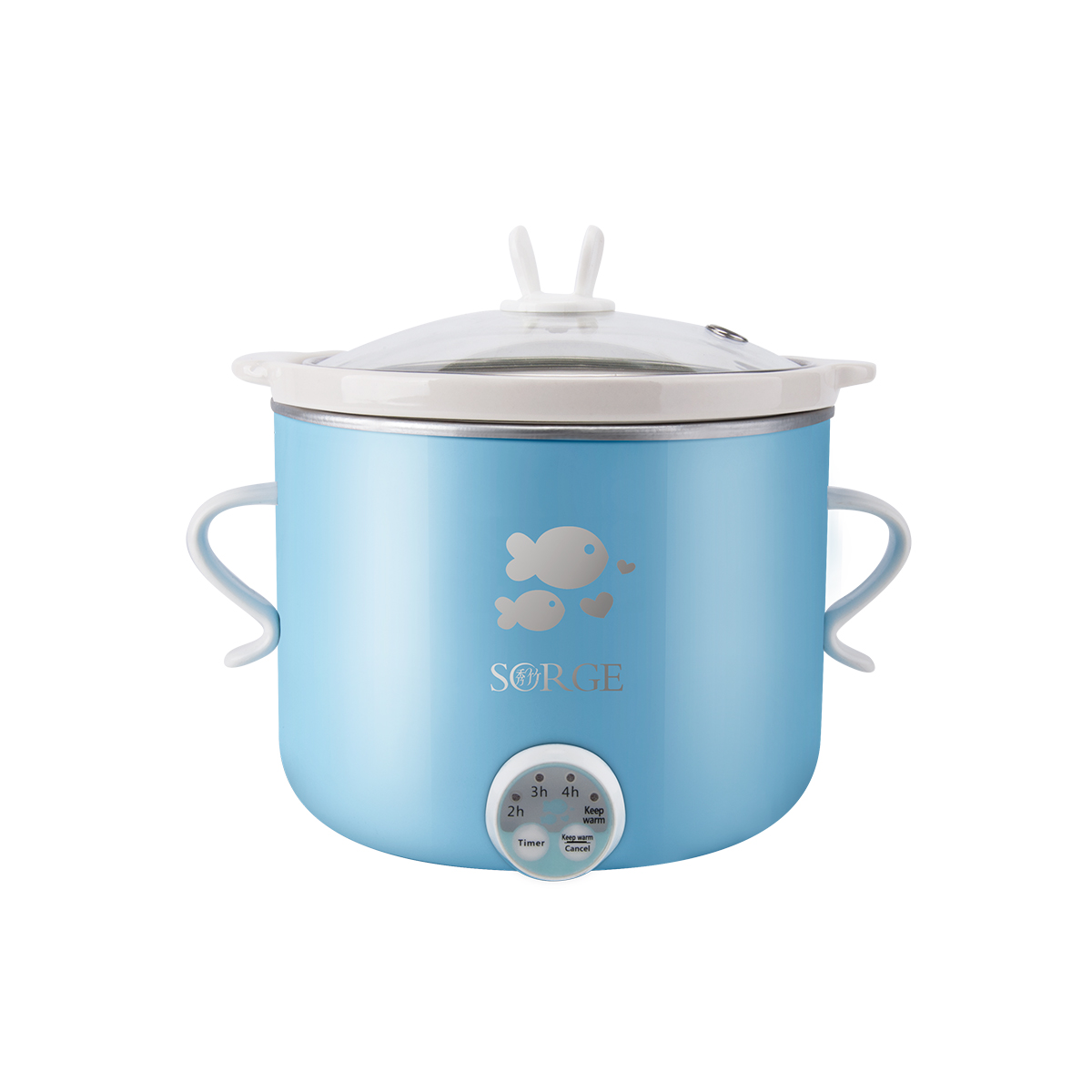 0.8L slow cooker