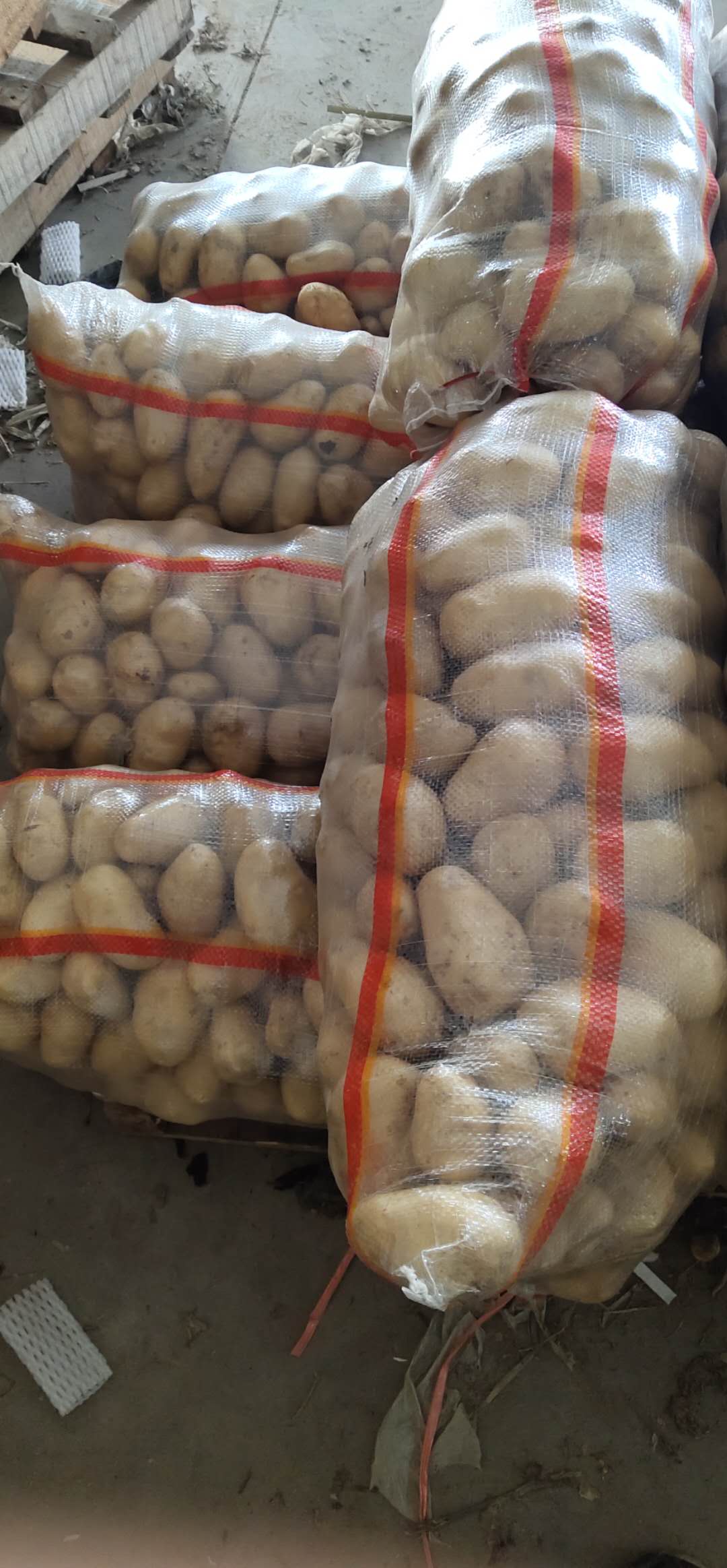 LAIWU MANHING VEGETABLES FRUITS CORPORATION – colchoneta de yoga 4