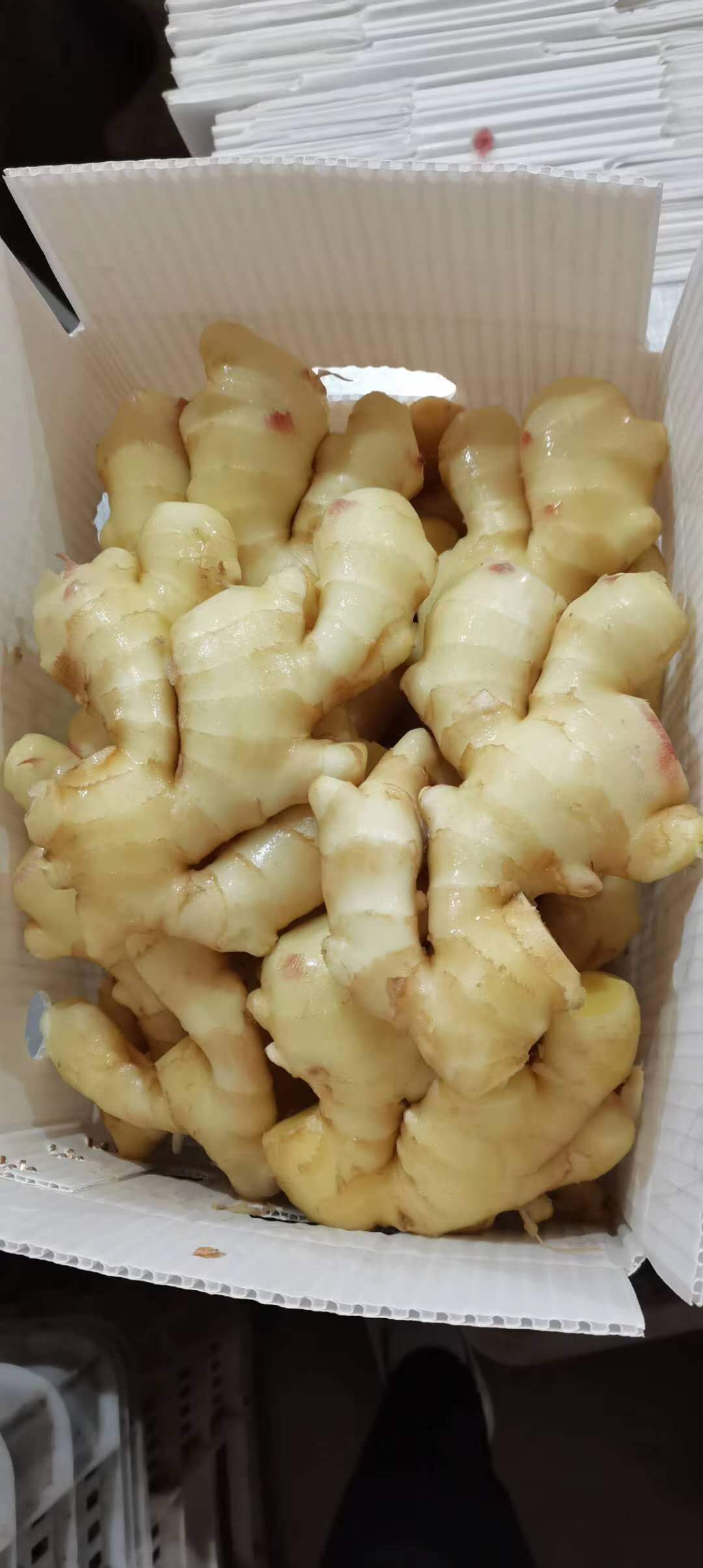 New Crop Fresh Ginger