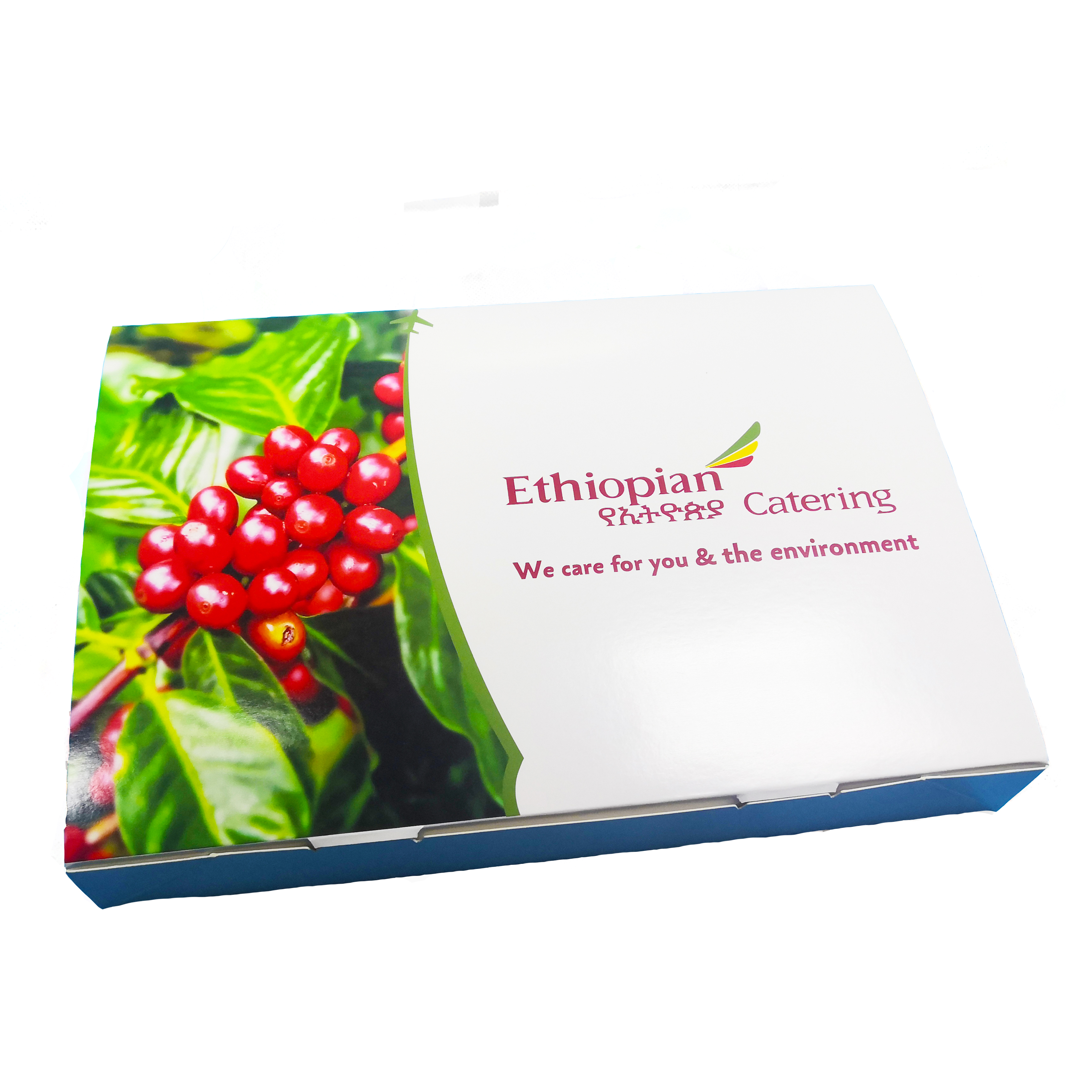Inflight disposable paper meal box
