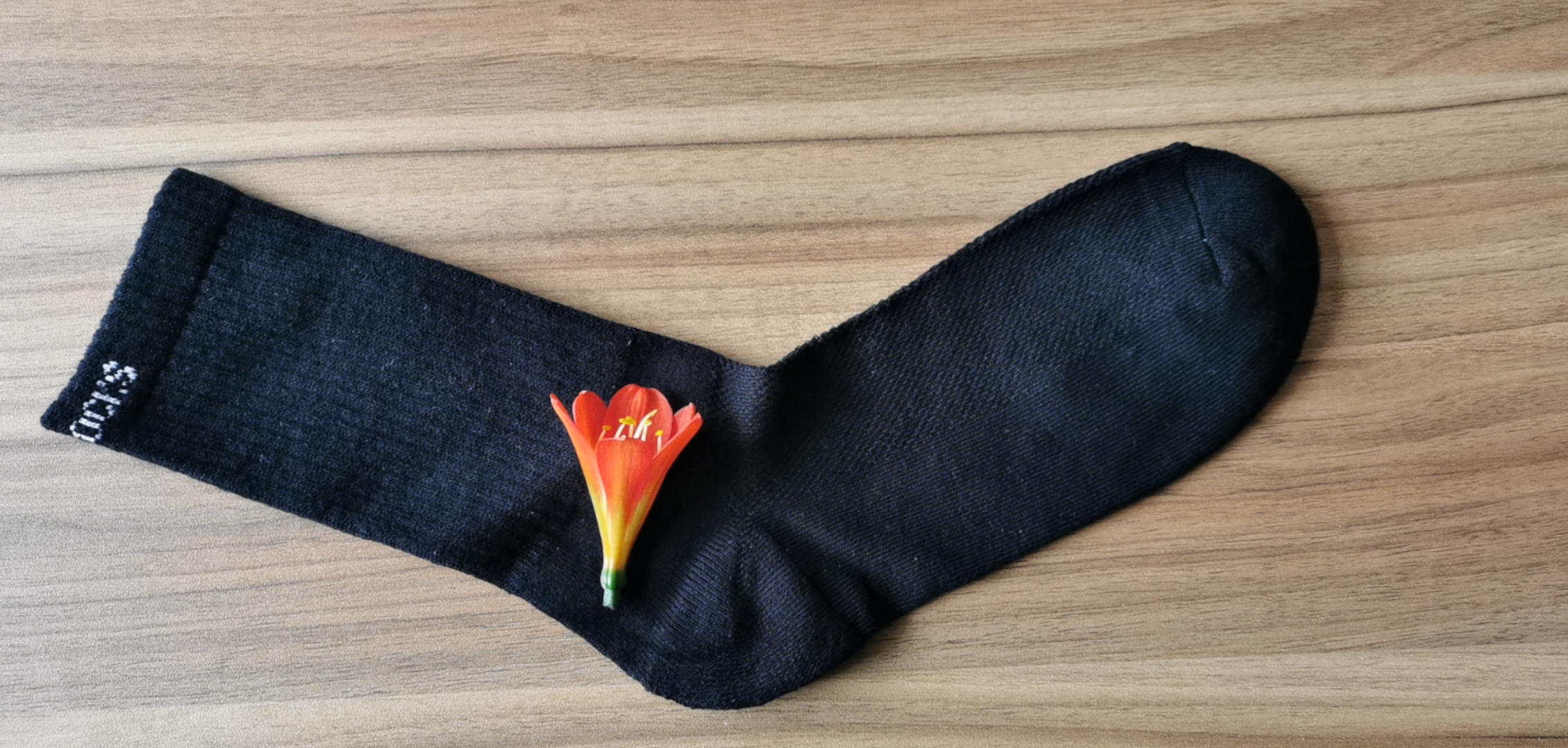 cotton sports socks