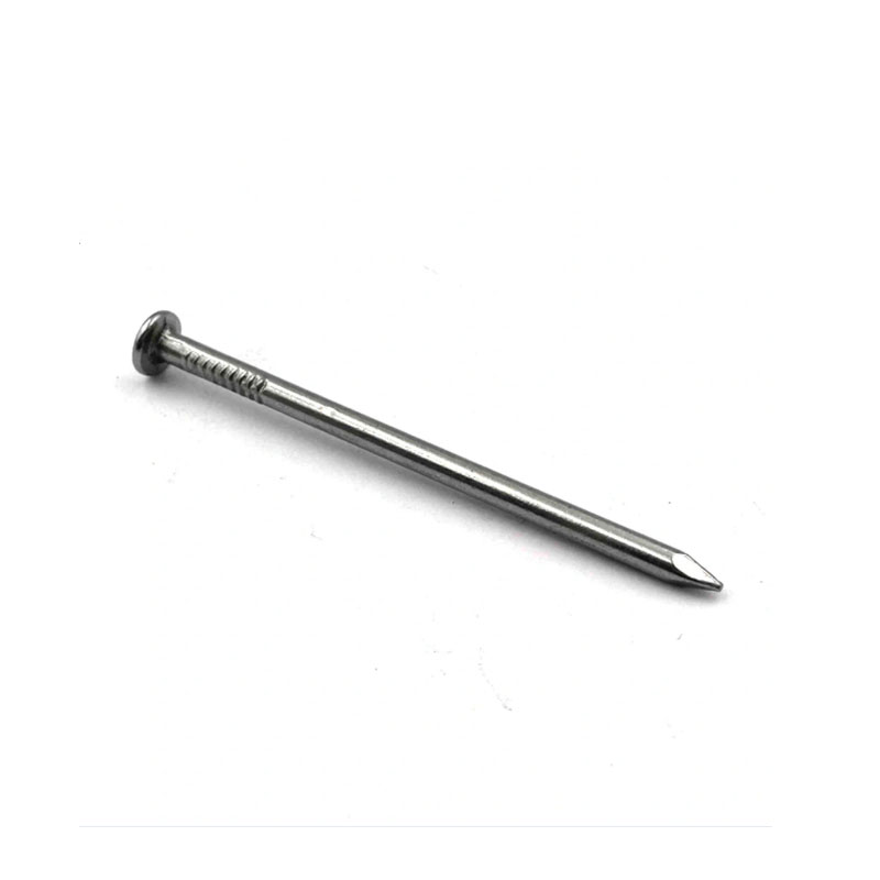 Polished Common Nail
