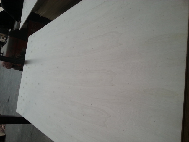 Hot sell bleached poplar Plywood for furniture using
