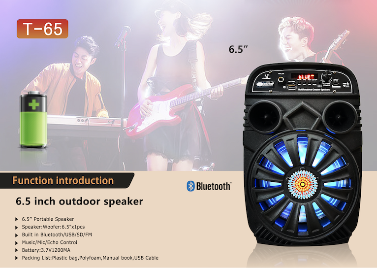 Portable Speaker、6.5inch Outdoor Active Portable speaker
