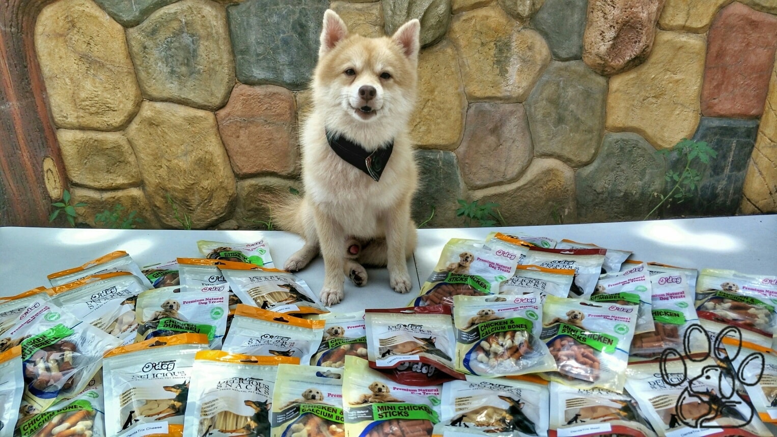 Dog treats dog snacks pet treats dog food chicken dumbbell