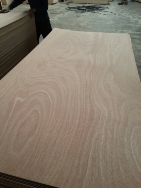 Hot selling sapeli for decration furniture using