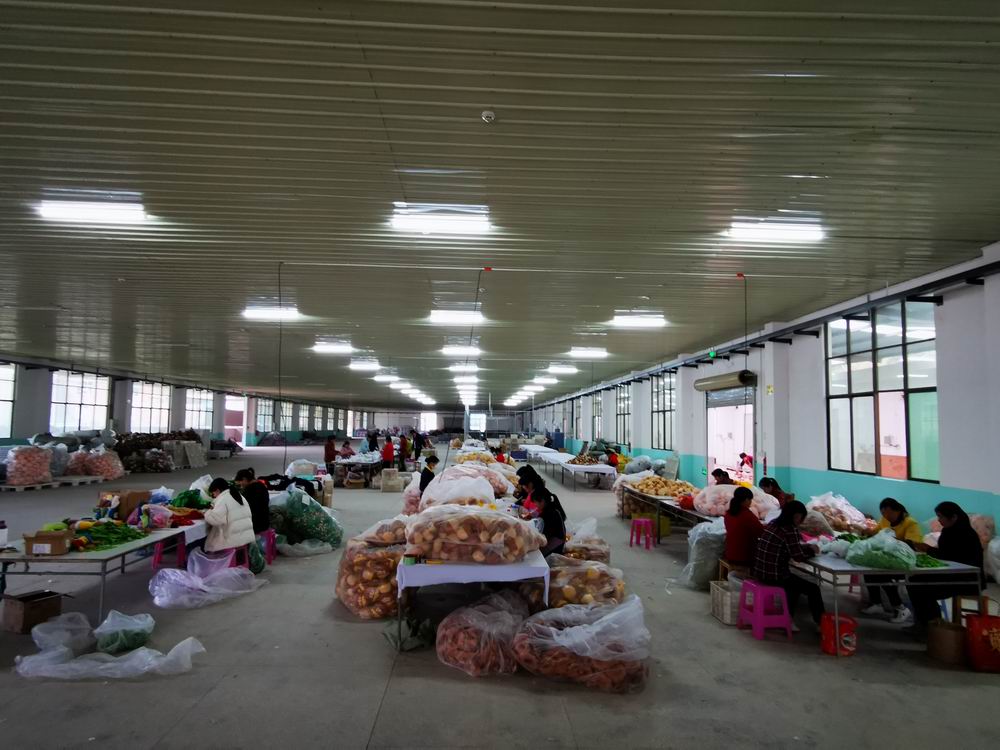 Anyuan Haishang Gift Co., Ltd. – Christmas decorations 2