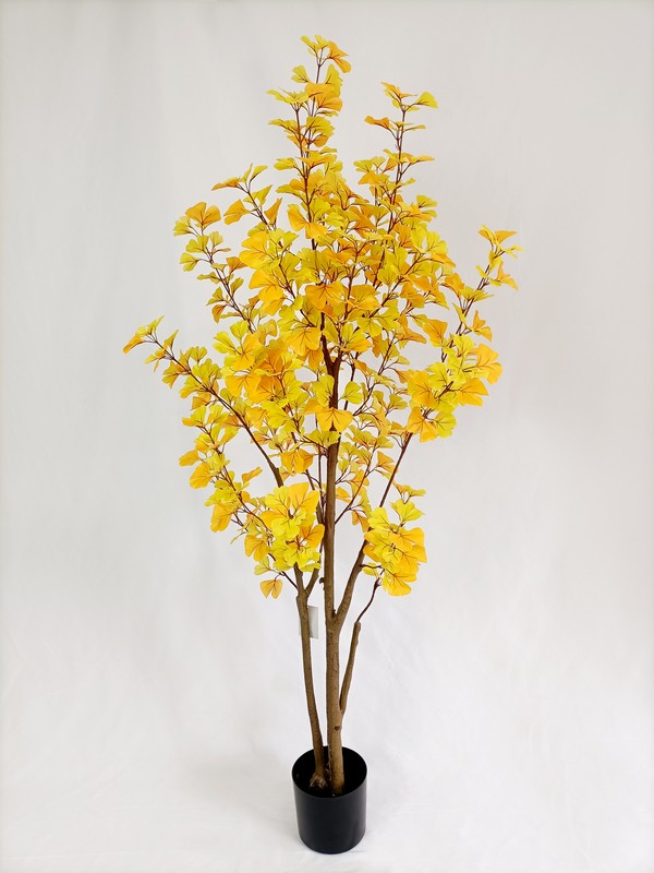 HYXS 01-12 Ginkgo tree Yellow