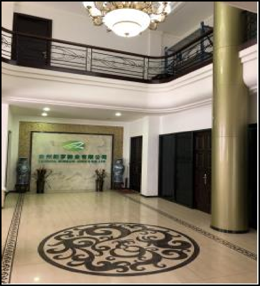 Beijing Langro International Trading Co., Ltd. – running shoes 1