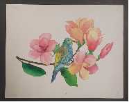 Watercolor Painting by number