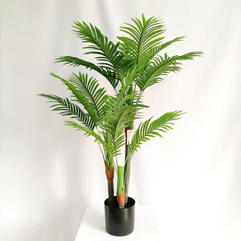 SWK 01-72 Palm tree