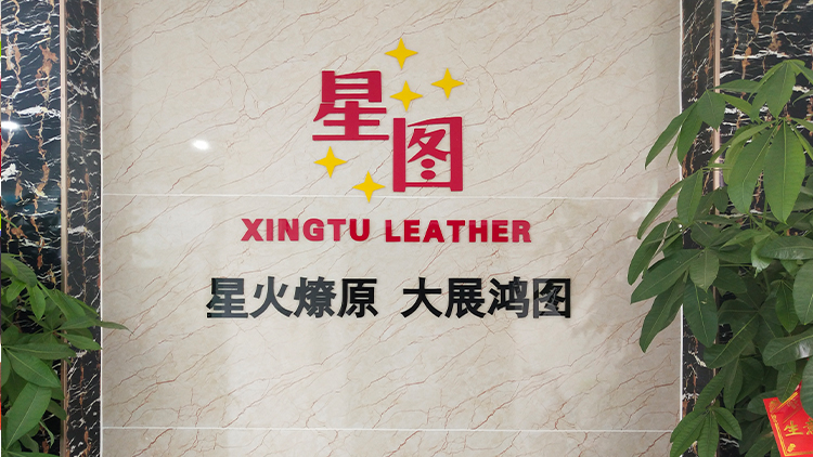 Guangzhou Xingtuan Leather Goods Co., Ltd. – backpack 2