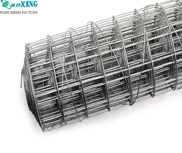 Galvanized Welded Wire Mesh