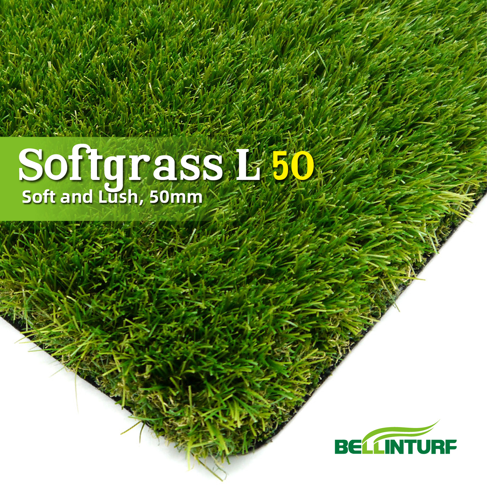 Qingdao Bellinturf Industrial Co.,Ltd – Merchants 2