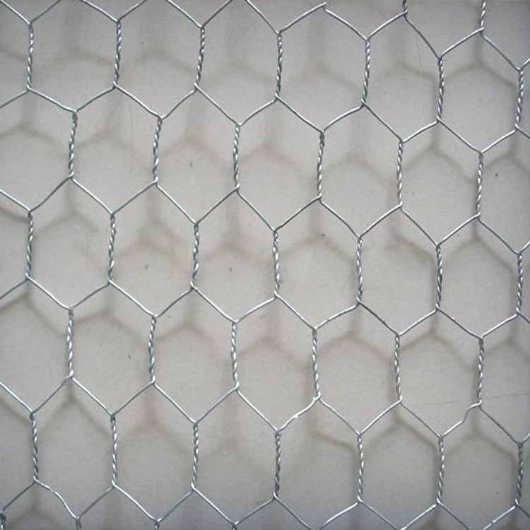 hexagonal wire mesh