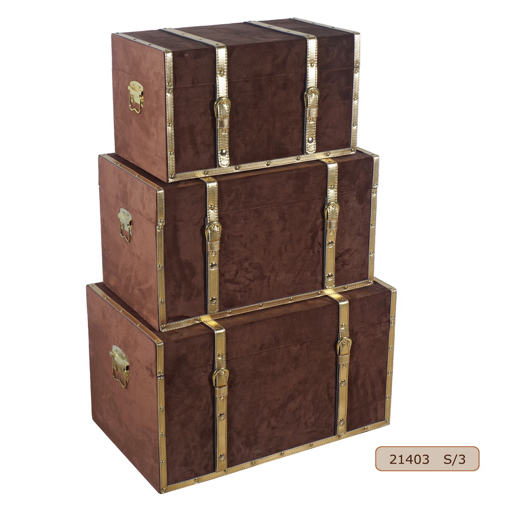 Storage Decorative Trunks