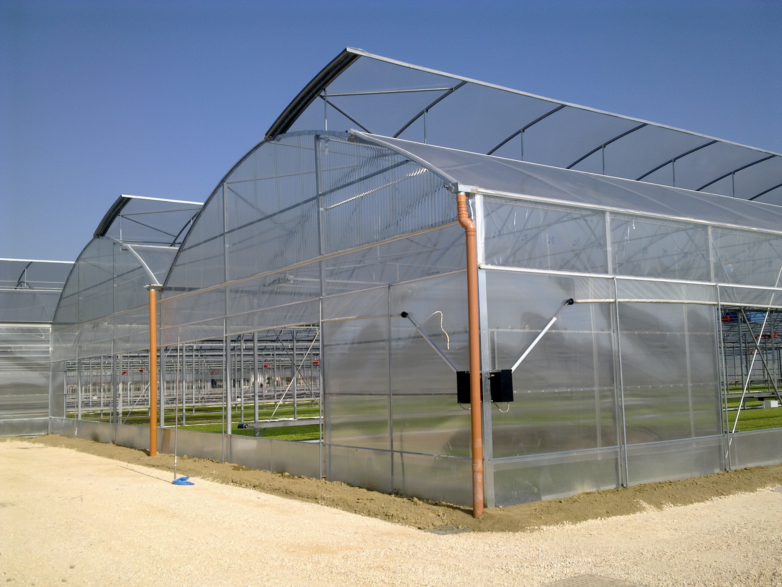 Polycarbonate Greenhouse Panel for Middle East