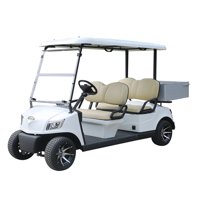 Electric Golf Car DG-M4+Cargo box