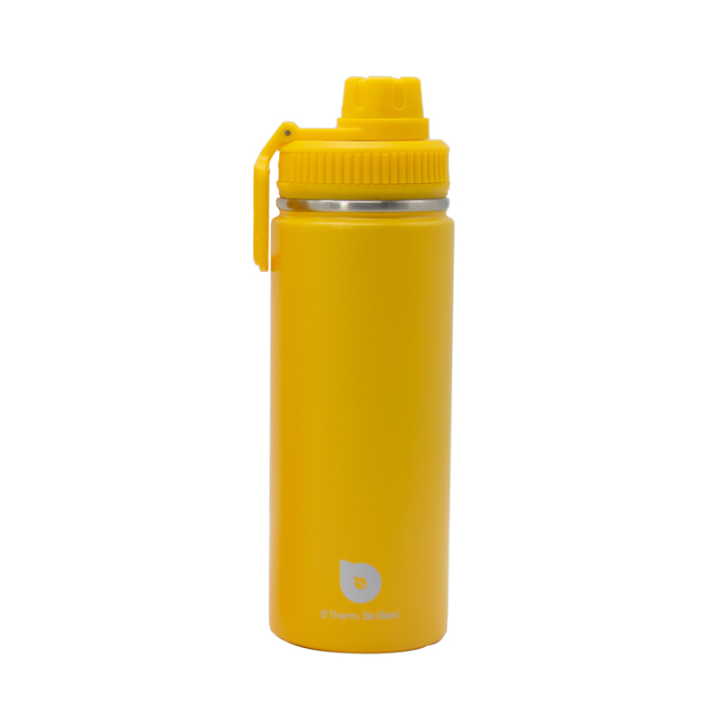 Stainless Steel Vacuum Insulated Sport Water Bottle 17 oz