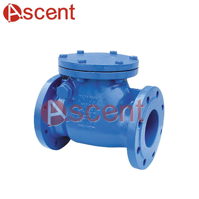 Check Valve