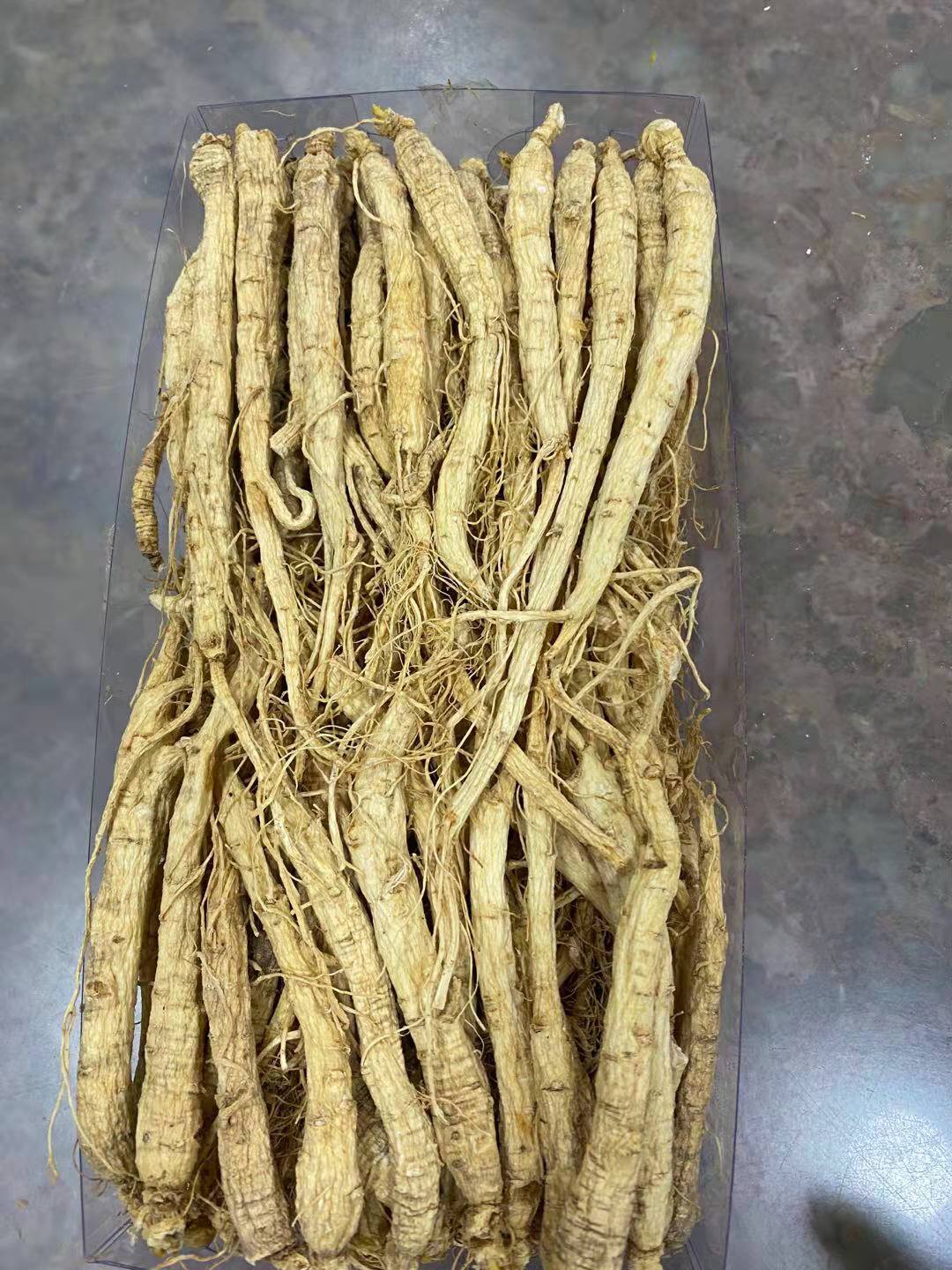 Ginseng