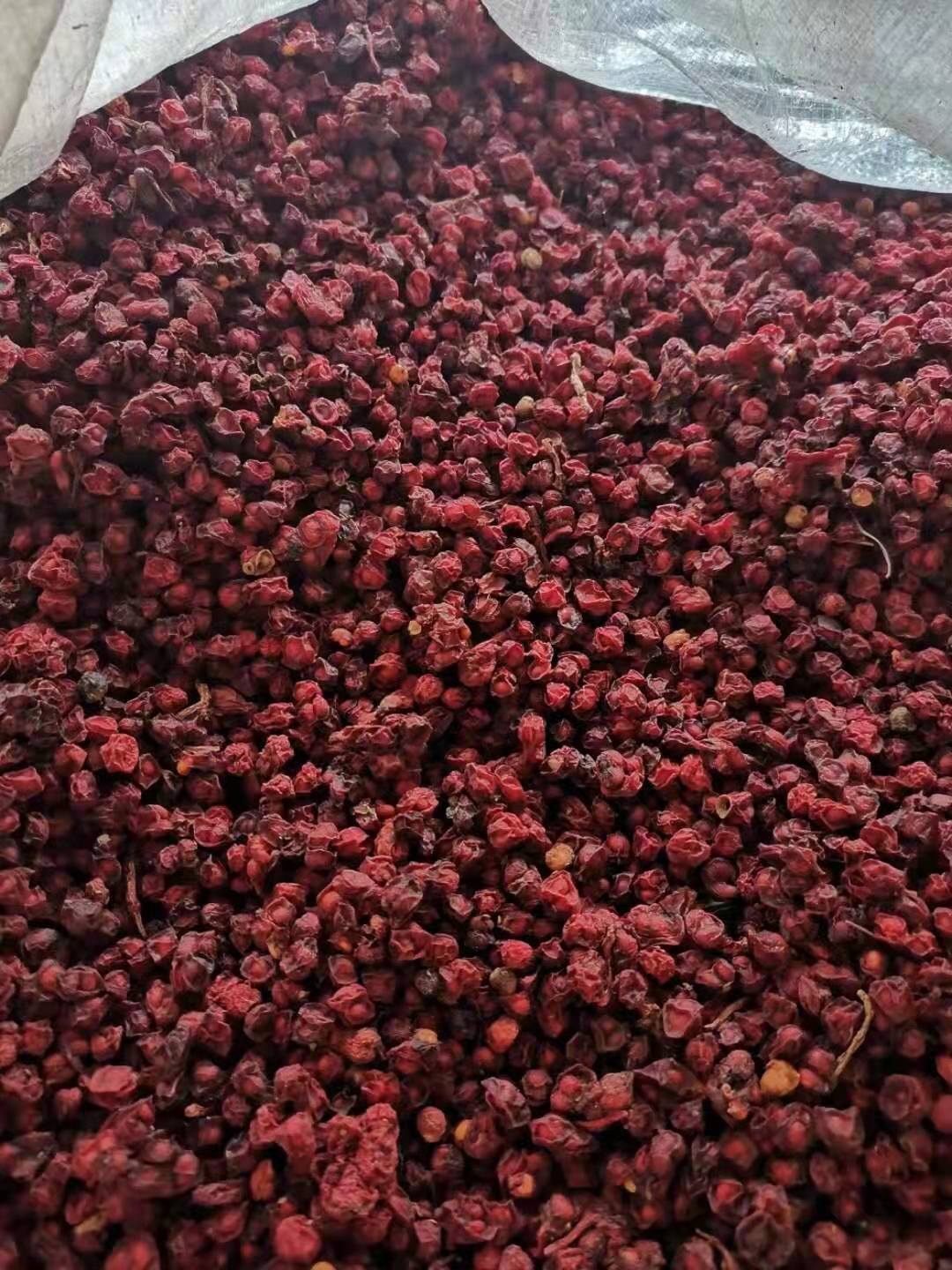 Schisandra chinensis